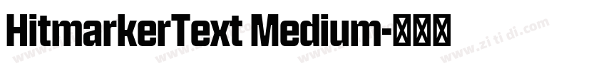 HitmarkerText Medium字体转换 HitmarkerText Medium字体转换